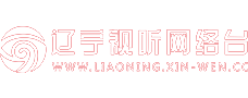辽宁视听网络台